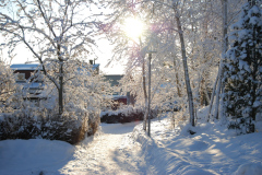 Vinterbilder från 2009
